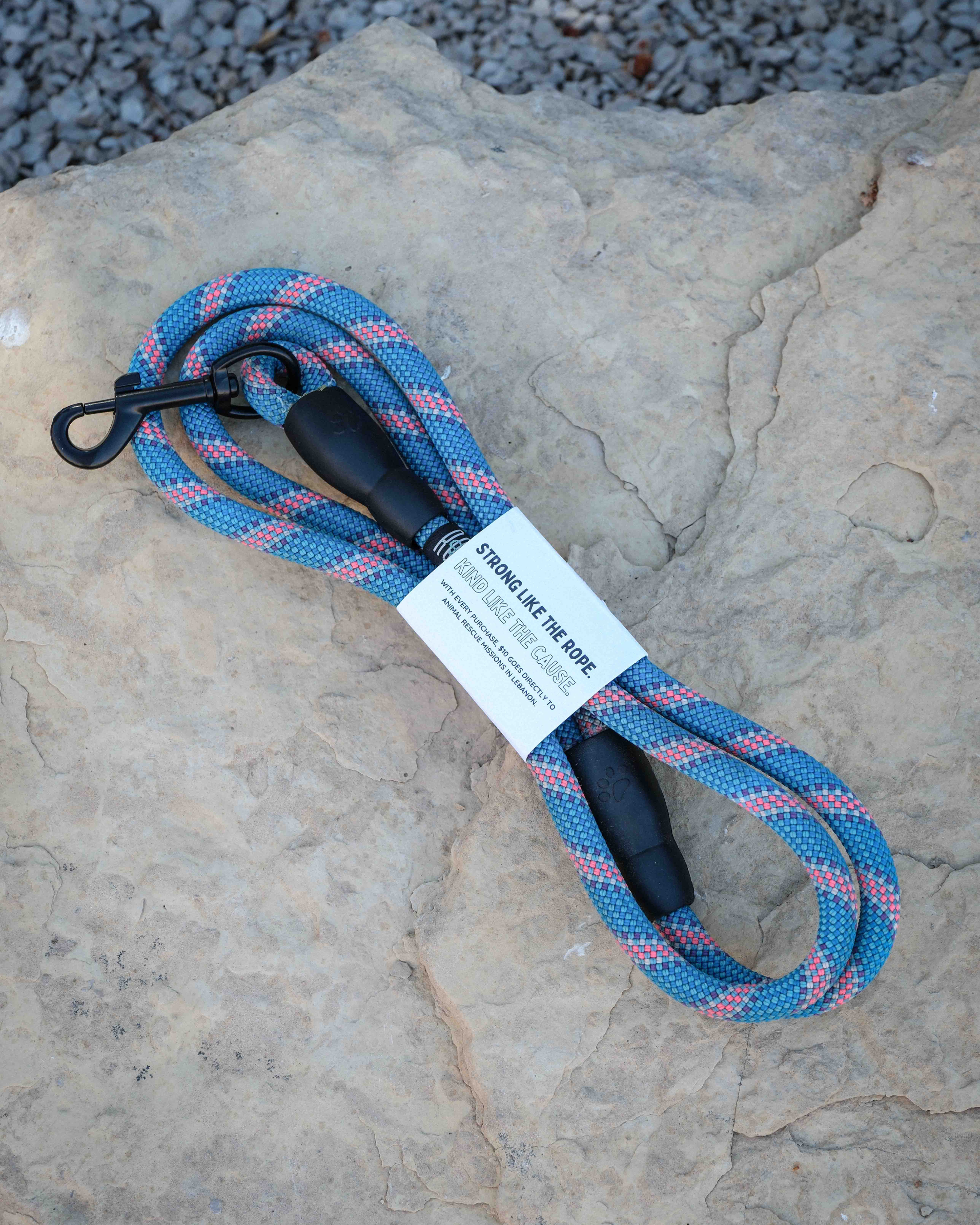 Blue/Pink Leash