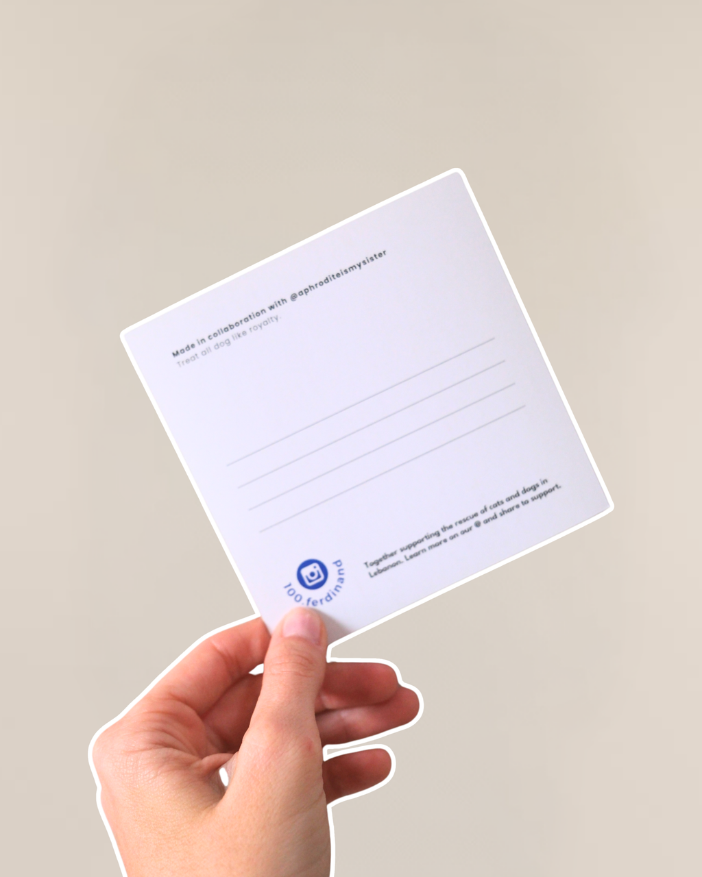 Postcard - Dogs are royalty