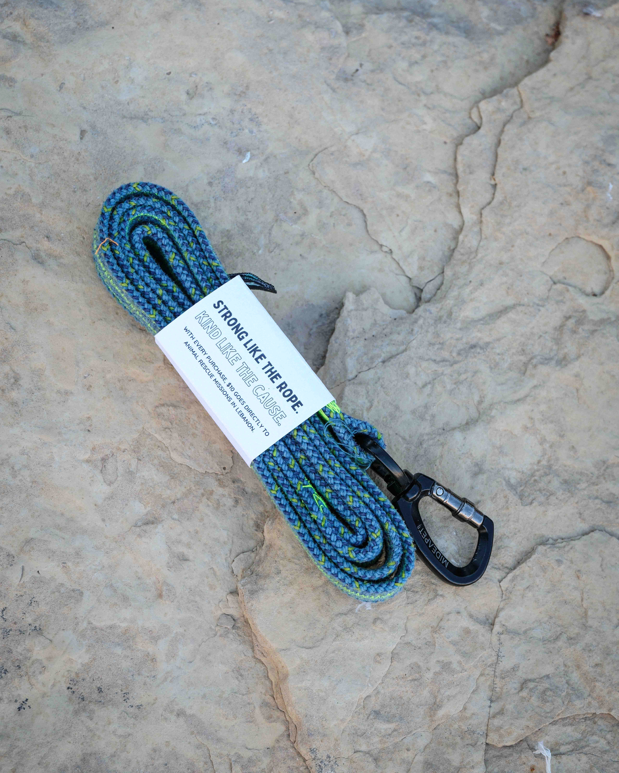 Blue Flat Leash