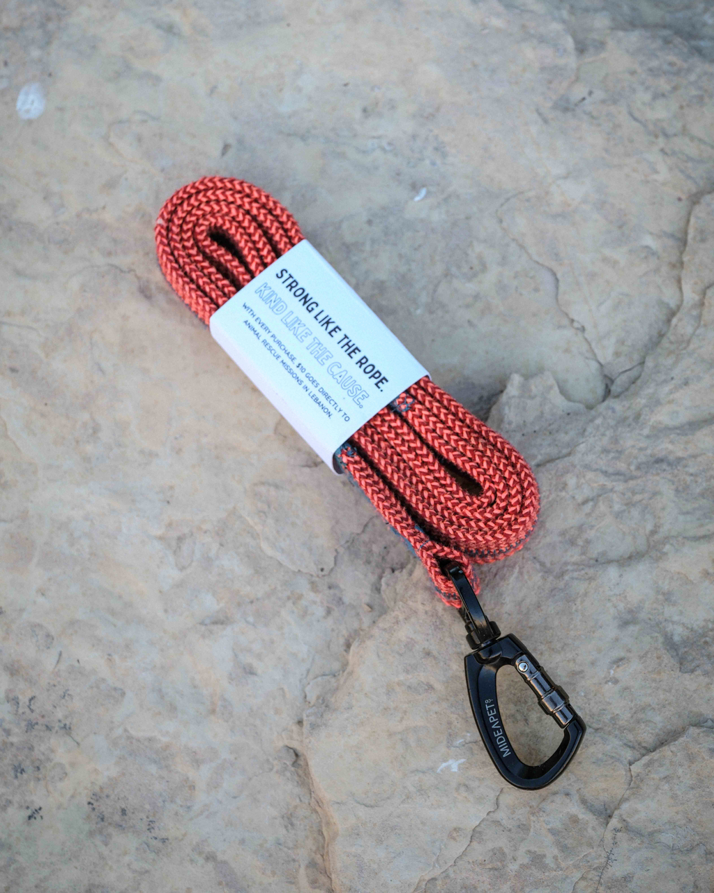 Red Flat Leash