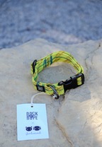 Yellow Collar
