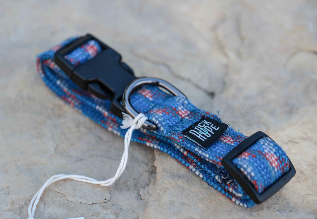 Blue and Red Collar