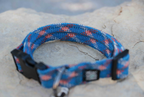 Blue and Red Collar