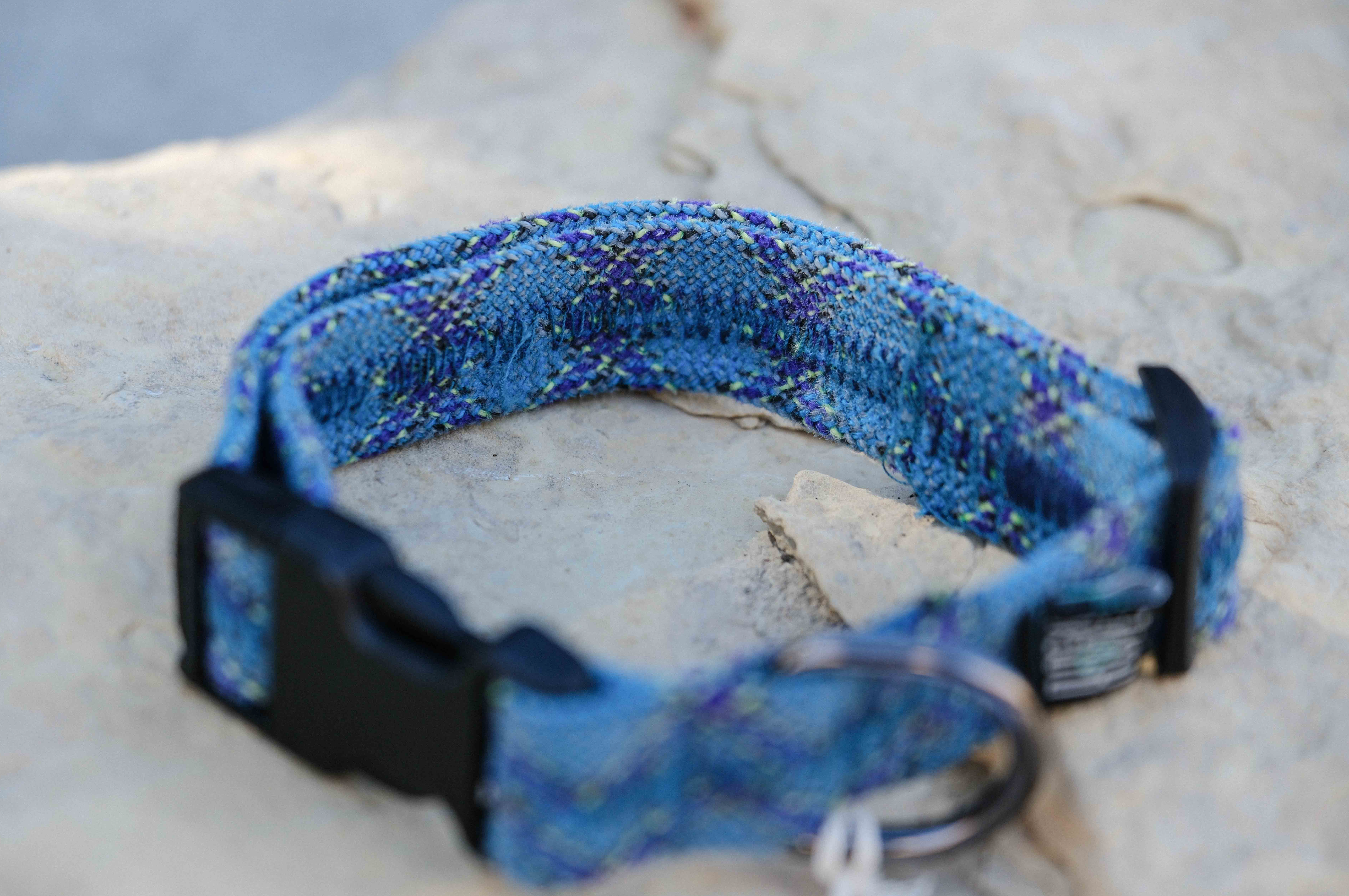 Blue and Purple Collar