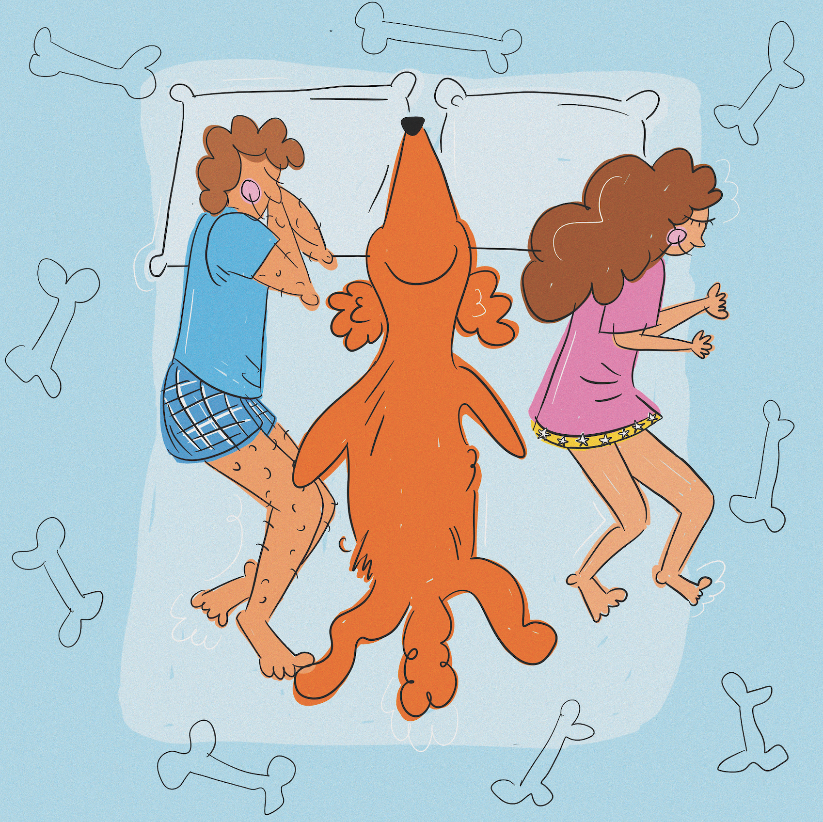 Postcard - Dog:1 Bed rules:0