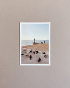 Cats Postcard Collection